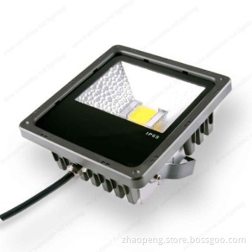 IP65 10W LED Floodlight  whit Bridgelux leds MeanWell driver
